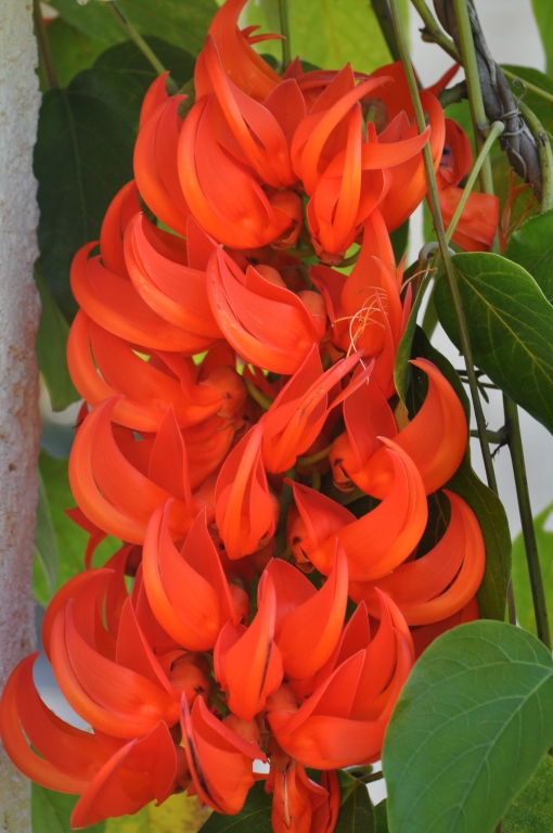 27 - Imagens do CEU.jpg